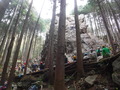 DSCF3182