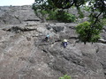 DSCF8694