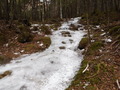 DSCF2657