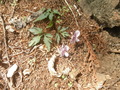 P5010051