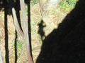 CIMG1149