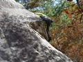 DSCF1058