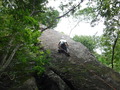 DSCF4785