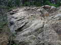 DSCF8204