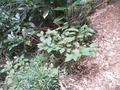 P9290006