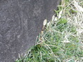 P3290168