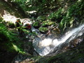 DSCF4432