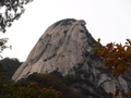 DSCF0795