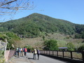 DSCF5598