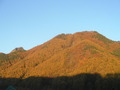PA290168
