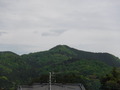 DSCF7519
