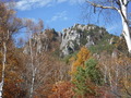 DSCF1061