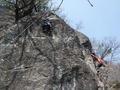 DSCF6952
