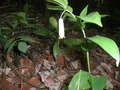 P4230004
