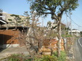 P3190017