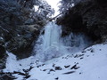 DSCF6239