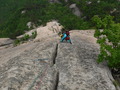 DSCF7610