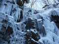 DSCF2329