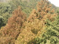 P3070012