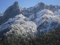 DSCF1946
