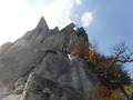 DSCF9103