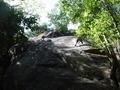DSCF0151