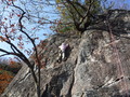 DSCF1746