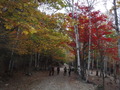 DSCF0885