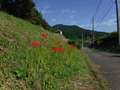 DSCF4731