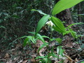 DSCF7194
