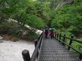 DSCF7571