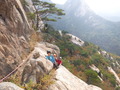 DSCF0736