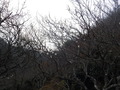 DSCF1905