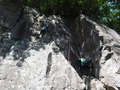 DSCF8426
