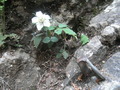 P4230015