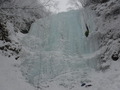 DSCF2174