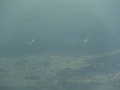 DSCF6674_Ink_LI