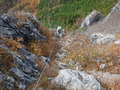 DSCF0715