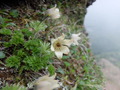 DSCF0182