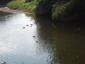 DSCF4882