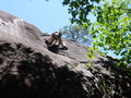 DSCF0322