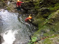 DSCF4416