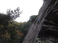 DSCF9531