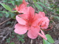 P5030023