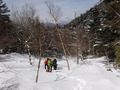 DSCF6995