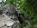 DSCF4786