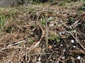 DSCF2794