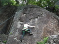 DSCF3884