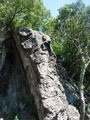 DSCF0304