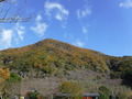 DSCF1537